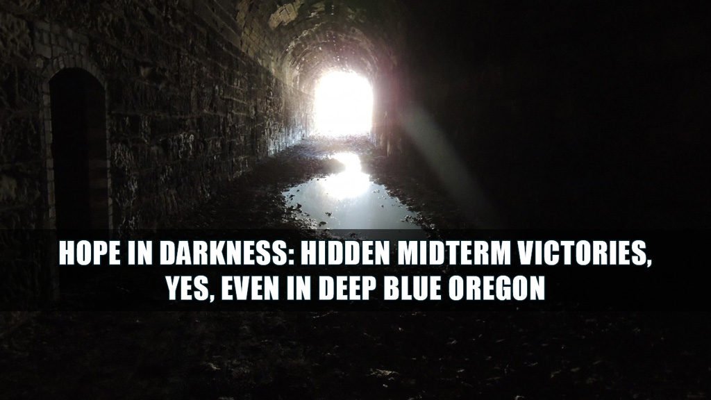 Hope in Darkness. There was some hope in the 2018 midterm elections, with some overlooked victories. Even in deep blue Oregon.