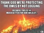 Thank God we're protecting the owls by not logging = because all these Oregon fires are so much better for our wildlife