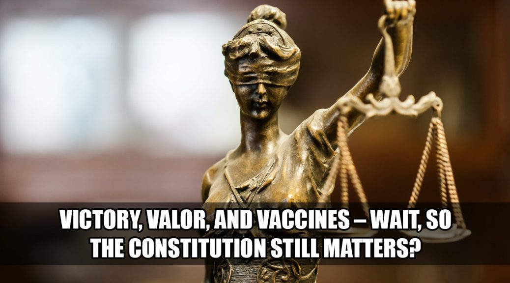 Victory in Court - So the Constitution still matters?