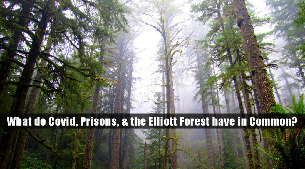 What do Covid, Prisons, and the Elliott Forest have in common