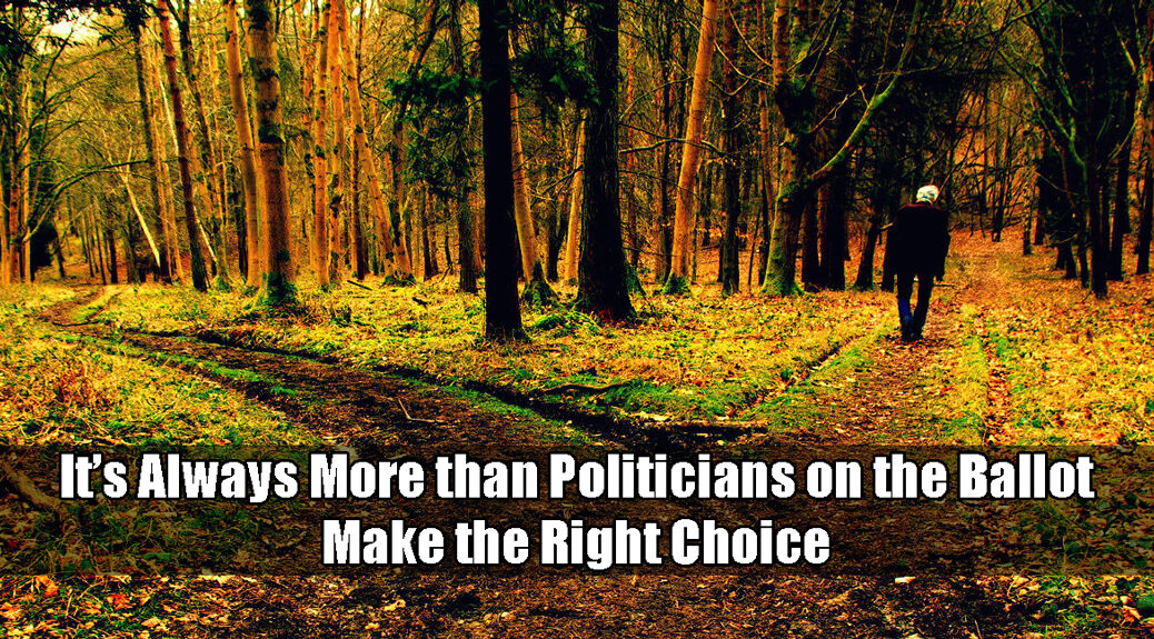 It's not just politicians. It's the issues on the ballot. Make the right choice.