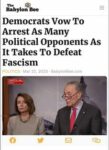 democrats fight fascism by being fascists